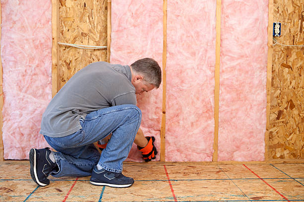 Best Affordable Insulation Services  in Johnston, IA
