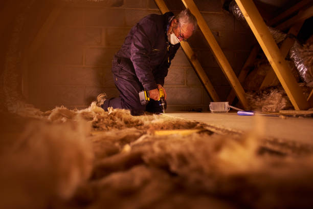 Best Insulation Contractor Near Me  in Johnston, IA